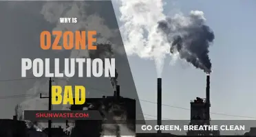 Ozone Pollution's Harmful Effects: Understanding the Risks to Health and Environment