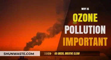 Understanding Ozone Pollution: Its Impact on Health and Environment