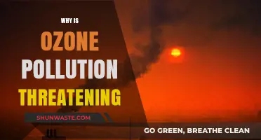 Ozone Pollution: A Silent Threat to Health and Environment