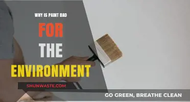 Toxic Hues: How Paint Harms Our Environment and Ecosystems