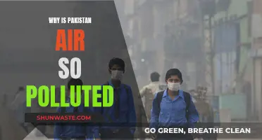Pakistan's Air Pollution Crisis: Understanding the Causes