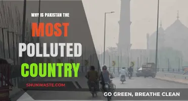 Pakistan's Pollution Crisis: Uncovering the Causes of Severe Air Quality