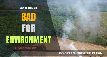 Palm Oil's Devastating Environmental Impact: Deforestation, Wildlife Loss, and Climate Crisis