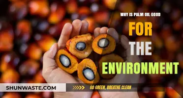 Palm Oil's Surprising Eco-Benefits: Sustainable Practices and Environmental Impact