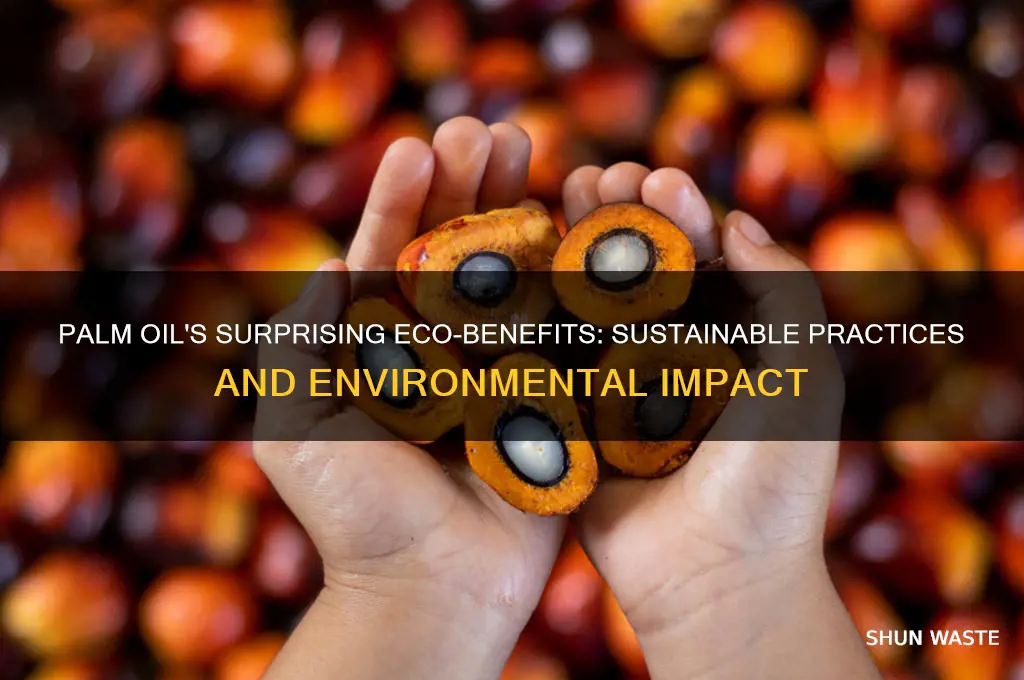 why is palm oil good for the environment