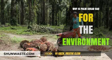 Palm Sugar's Hidden Environmental Costs: Deforestation, Wildlife Loss, and More