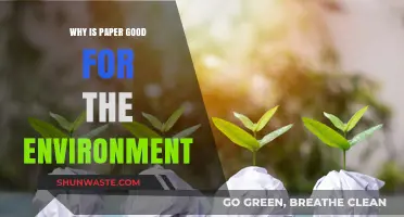 Eco-Friendly Choice: How Paper Benefits Our Environment and Sustainability