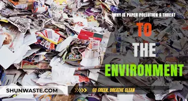 Paper Pollution's Hidden Impact: A Growing Environmental Threat Explained