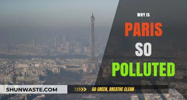 Paris Pollution Crisis: Uncovering the Causes of the City's Smog