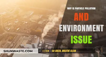 Particle Pollution: A Growing Environmental Threat and Its Impact