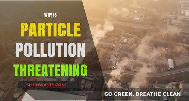 Particle Pollution's Silent Threat: Health, Environment, and Climate at Risk