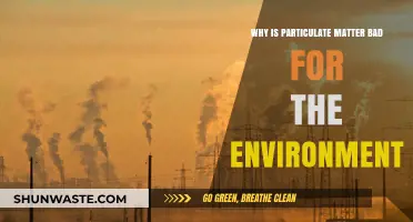 Particulate Matter's Environmental Impact: Harmful Effects and Urgent Concerns