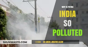 Patna's Pollution Crisis: Unraveling the Causes of India's Smoggy City