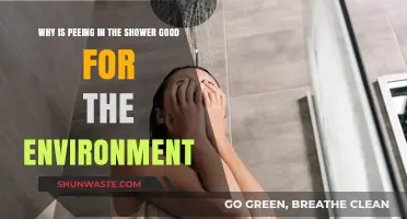 Eco-Friendly Shower Habits: How Peeing in the Shower Saves Water