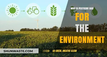 Pesticides' Hidden Costs: Environmental Impacts and Sustainable Alternatives