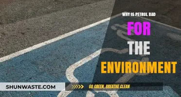 Petrol's Environmental Impact: Pollution, Climate Change, and Ecosystem Destruction Explained