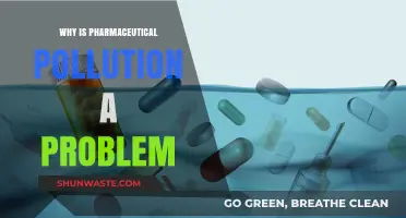 Pharmaceutical Pollution: A Hidden Threat to Ecosystems and Human Health