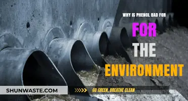 Phenol's Environmental Impact: Harmful Effects and Ecological Consequences Explained
