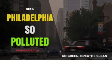 Why Philadelphia's Air Quality Struggles: Uncovering the Pollution Crisis