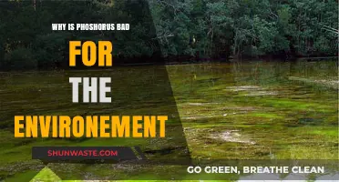 Phosphorus Pollution: Uncovering Its Harmful Environmental Impact and Consequences