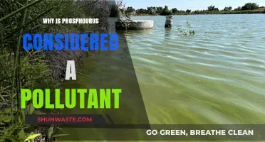 Phosphorus Pollution: Understanding Its Environmental Impact and Harmful Effects