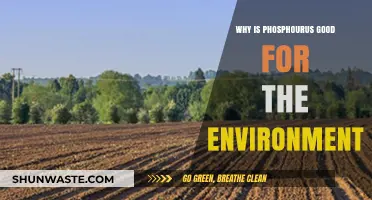 Phosphorus: An Essential Nutrient for Sustainable Ecosystems and Soil Health