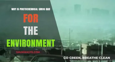Photochemical Smog's Devastating Impact on Ecosystems and Human Health