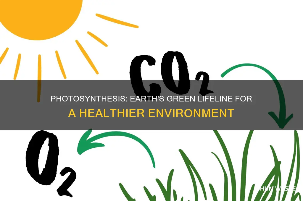 why is photosynthesis good for the environment