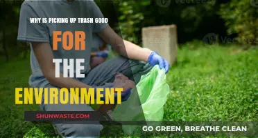 Picking Up Trash: Simple Act, Big Environmental Impact Explained