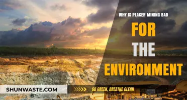 Placer Mining's Environmental Impact: Erosion, Pollution, and Ecosystem Destruction Explained