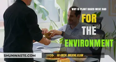 Plant-Based Meat's Hidden Environmental Costs: What You Need to Know