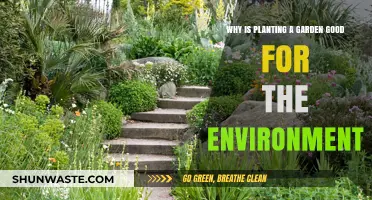 Planting Gardens: A Simple Way to Boost Environmental Health