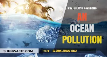 Plastic's Devastating Impact: Unraveling Its Role in Ocean Pollution Crisis