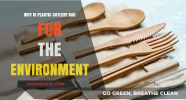 Plastic Cutlery's Environmental Impact: Harmful Effects and Sustainable Alternatives