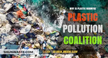 Plastic Pollution Coalition: Unveiling the Devastating Impact of Plastic Waste