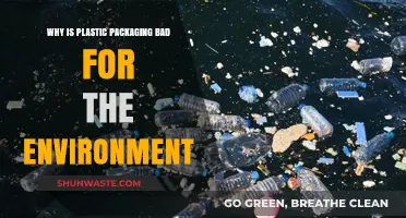 Plastic Packaging's Environmental Impact: Harmful Effects and Sustainable Alternatives