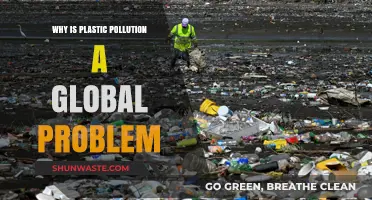 Plastic Pollution Crisis: A Global Threat to Ecosystems and Humanity