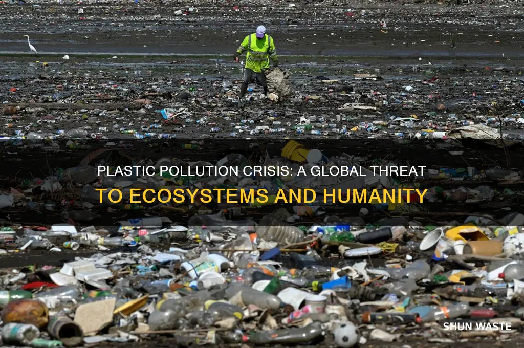 why is plastic pollution a global problem