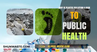 Plastic Pollution's Hidden Dangers: A Growing Public Health Crisis