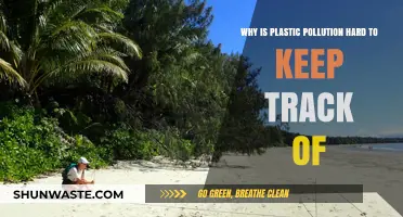 Tracking Plastic Pollution: Challenges in Monitoring a Global Crisis