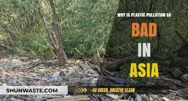 Asia's Plastic Crisis: Causes, Impacts, and Urgent Solutions Needed