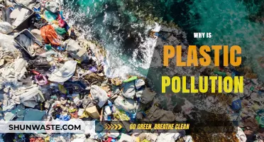 The Devastating Impact of Plastic Pollution on Our Planet
