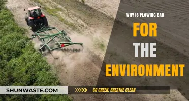 Plowing's Hidden Costs: Environmental Impacts and Sustainable Alternatives