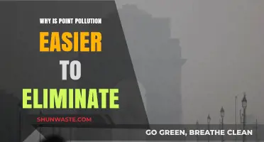 Tackling Point Pollution: Why Localized Sources Are Easier to Eliminate