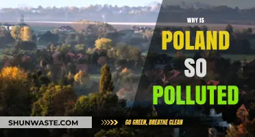 Poland's Pollution Crisis: Causes, Impacts, and Urgent Solutions Needed