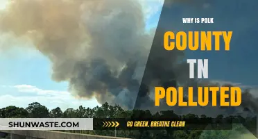 Polk County TN Pollution Crisis: Causes and Environmental Impact Explained