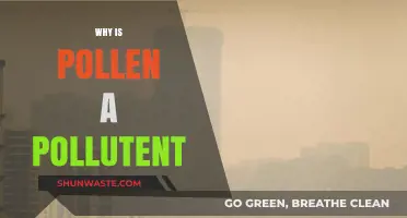 Pollen Pollution: Unseen Allergen Impacting Air Quality and Health
