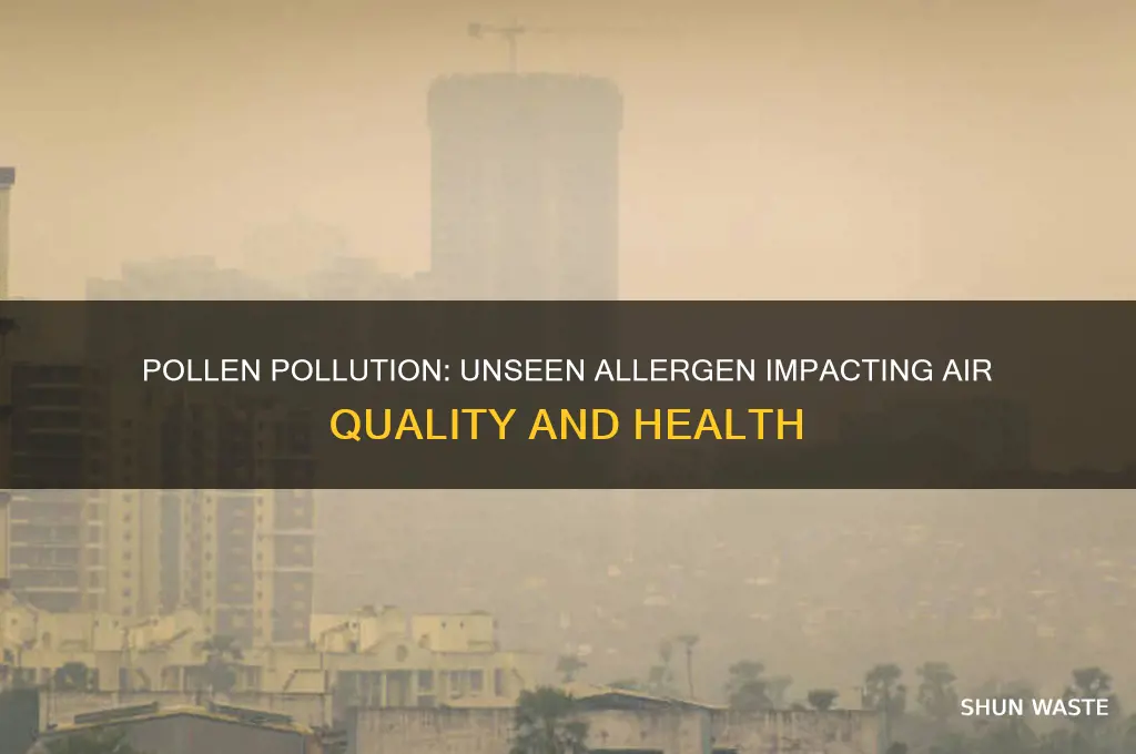 why is pollen a pollutent