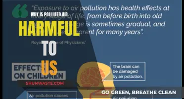 Air Pollution: Harmful Effects on Human Health