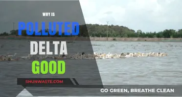 Polluted Deltas: Unveiling Surprising Benefits in Ecosystem Resilience